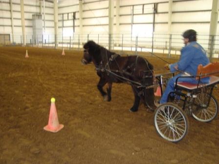 11march10_NE_Horse_Expo_(1)