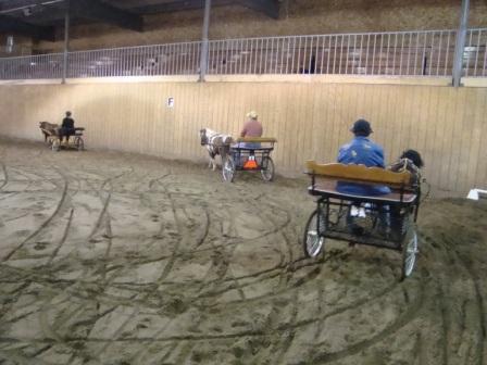 Ends_arena_trial_(1)