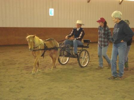 Little_wheels_clinic_2