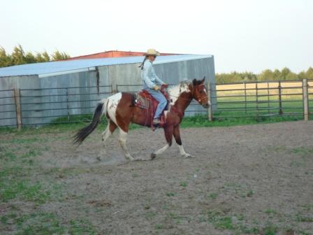 arena_work_22_May_10