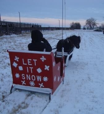em_let_it_snow