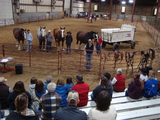 sd_horse_fair_2011_march_18-20_(72)